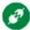 Green Leaf 18-8855BL - CONTENIDO - 4