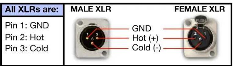 All XLRs are: Pin 1: GND Pin 2: Hot Pin 3: Cold MALE XLR FEMALE XLR GND Hot (+) Cold (-)