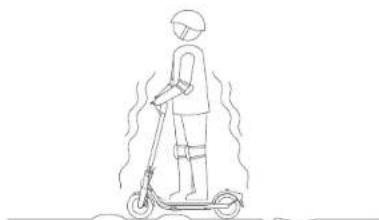 SEGWAY Ninebot eKickScooter F2 D - AVISOS - 11