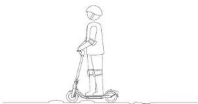 SEGWAY Ninebot eKickScooter F2 D - AVISOS - 8
