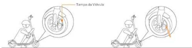 Tampa da Vásola