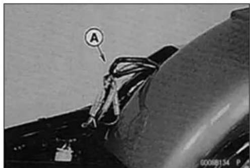 A 0008134 P