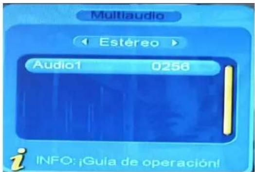 Multiaudio Estéreo > Audio1 0256 INFO: ¡Gula de operación!