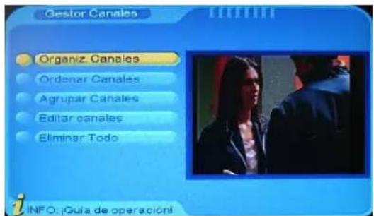 Gestor Canales Organiz. Canales Ordenar Canales Agrupar Canales Editar canales Eliminar Todo INFO: ¡Guía de operación!