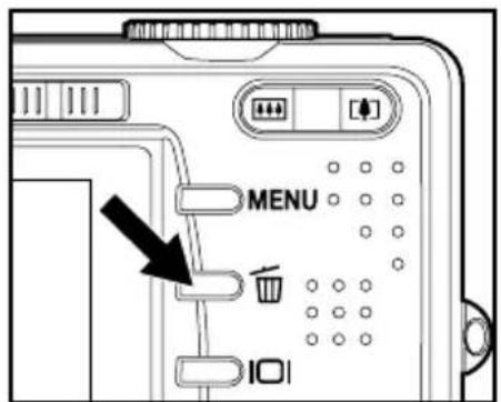 MENU IOI