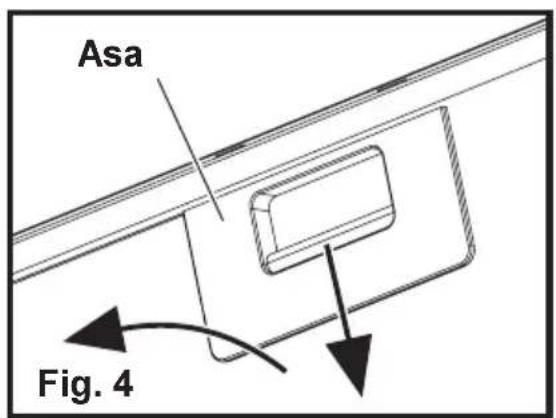 Asa Fig. 4