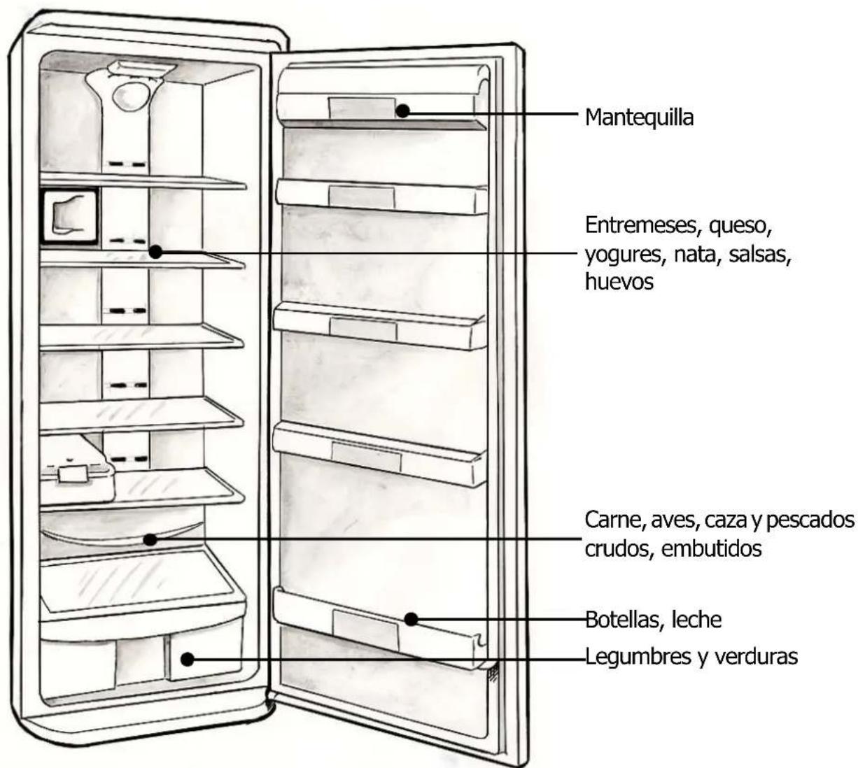 EDESA METAL-F14 - Colocación de los alimentos en su frigorífico - 2