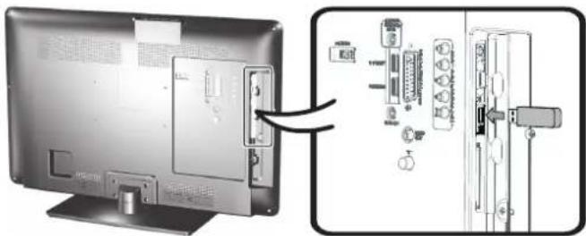 SHARP LC-24LE210E - Conexión a un dispositivo USB (Media Player) - 1