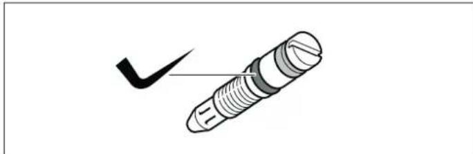 BALAY 3CGX462BS - Substituir os parafusos de bypass - 2