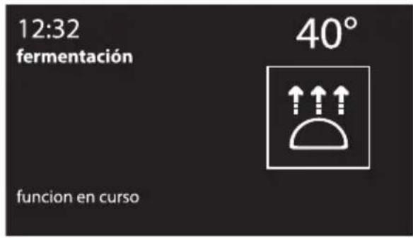 12:32 fermentación 40° funcion en curso