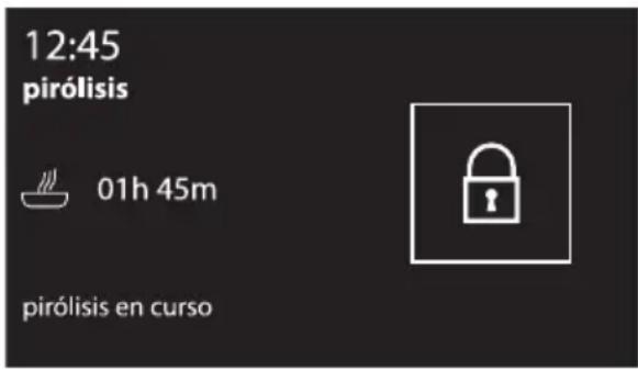 12:45 pirólisis 01h 45m pirólisis en curso