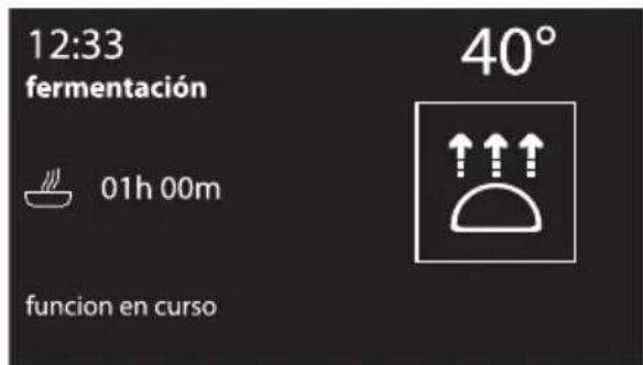 12:33 fermentación 01h 00m funcion en curso 40°