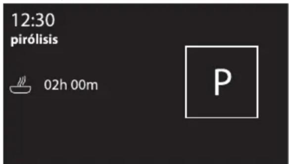 12:30 pirólisis 02h 00m P
