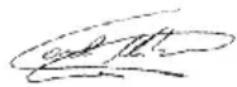 Phoenix Technologies Casiatab Lyratab 10 - - Configurar una cuenta de Gmail - 1