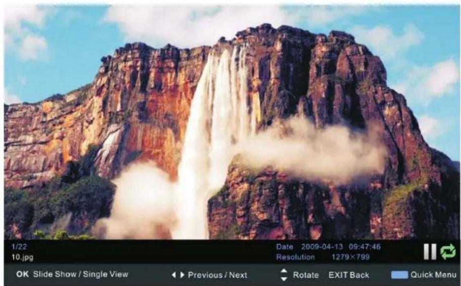 NEVIR NVR-7409-24HDDVD-N - Foto - 1
