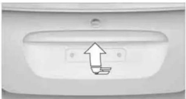 Close-up of a white toilet door with a double button and an upward arrow pointing to the front panel (no text or symbols)