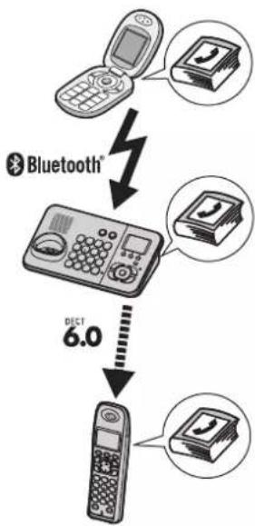 graph TD A["Mobile Phone"] --> B["Coffee"] B --> C["Landline"] C --> D["Handprint"] style A fill:#f9f,stroke:#333 style B fill:#ccf,stroke:#333 style C fill:#cfc,stroke:#333 style D fill:#fcc,stroke:#333
