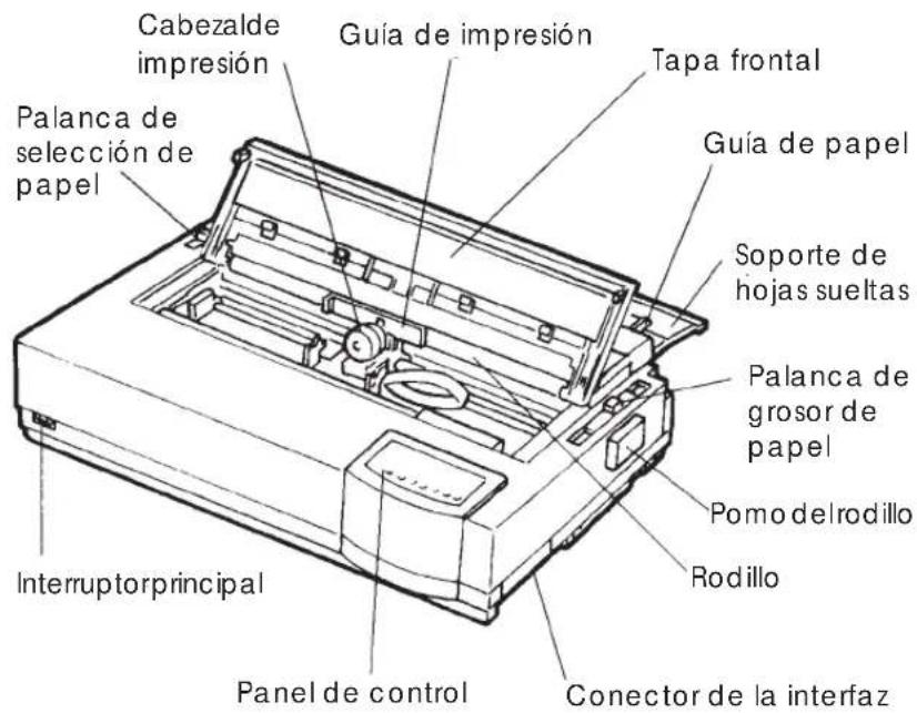 Cabezalde impresión Guía de impresión Tapa frontal Palanca de selección de papel Guía de papel Soporte de hojas sueltas Palanca de grosor de papel Pomo del rodillo Rodillo Interruptor principal Panel de control Conector de la interfaz