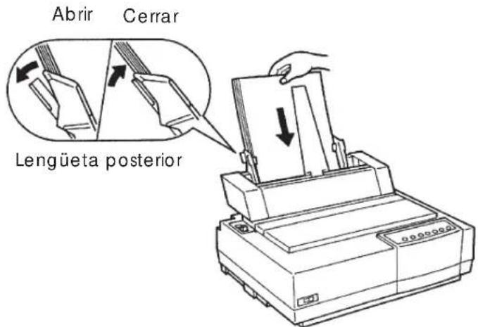 Abrir Cerrar Lengüeta posterior