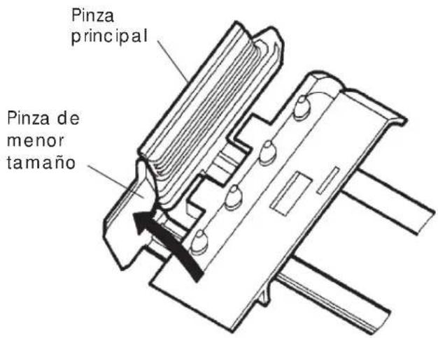 Pinza principal Pinza de menor tamaño