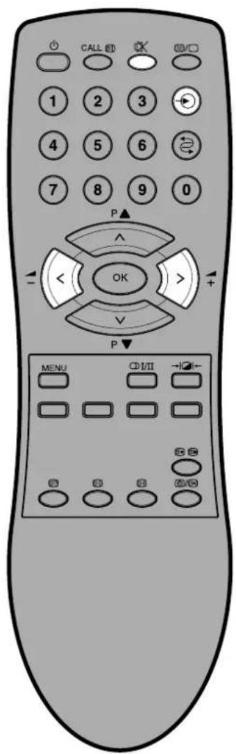 TOSHIBA 21S23N - Funcionamiento del televisor - 1