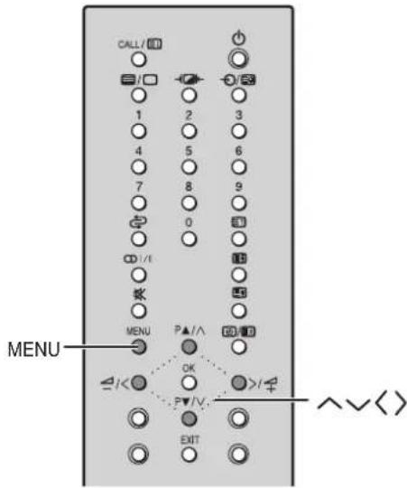 CALL/10 1 2 3 4 5 6 7 8 9 0 10 MENU P▲/∧ ▼□□ OK >/+ P▼/V EXIT MENU ^<<>