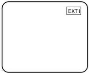 EXT1
