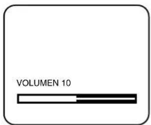 VOLUMEN 10