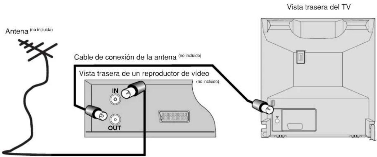 Antena (no incluida) Cable de conexión de la antena (no incluido) Vista trasera de un reproductor de vídeo IN OUT Vista trasera del TV