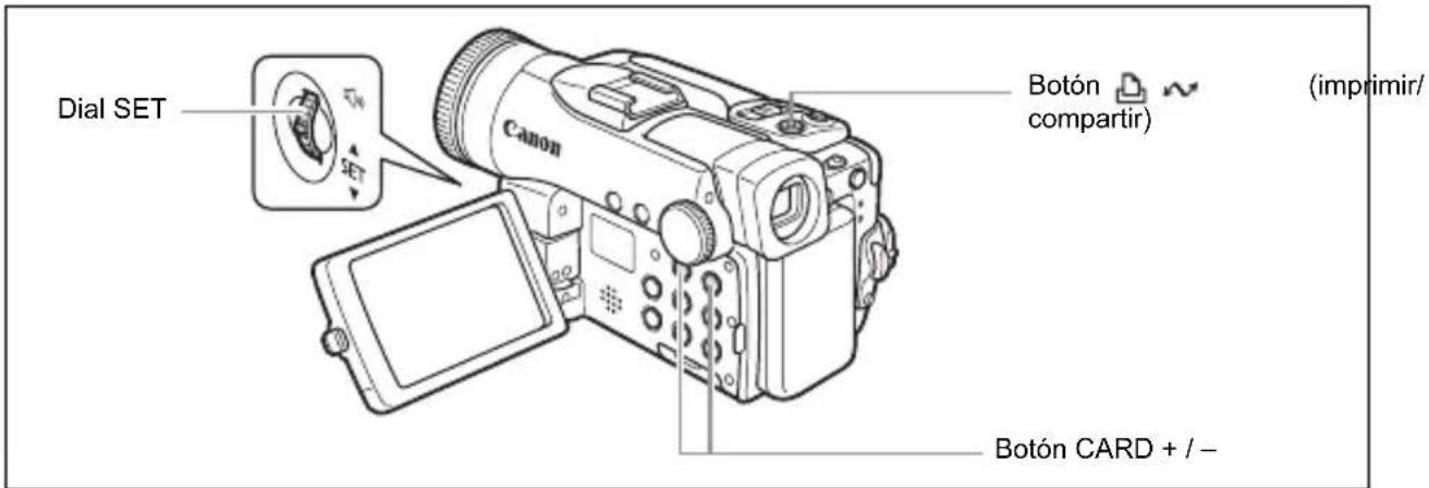 CANON MVX45i - Transferencia directa (sólo Windows) - 1