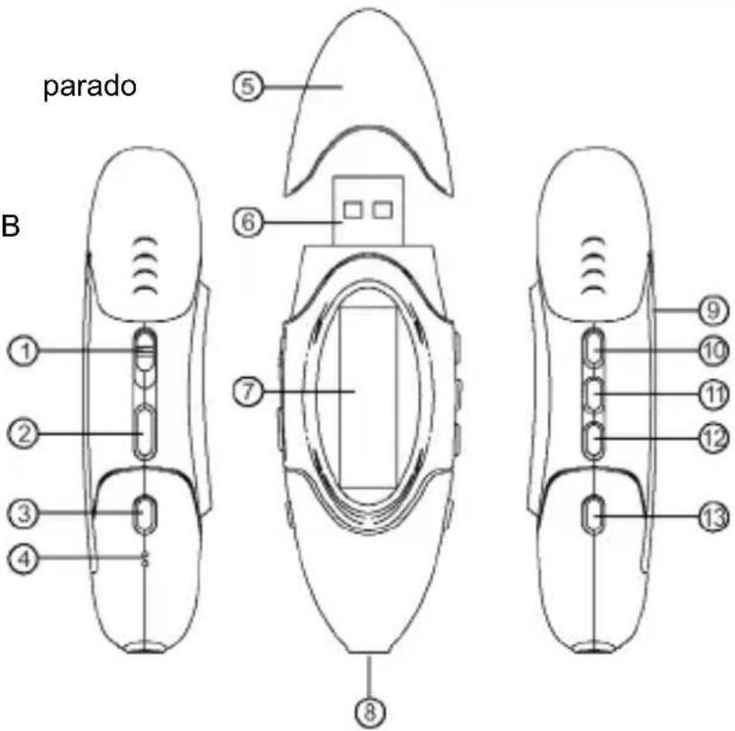 parado B ① ② ③ ④ ⑤ ⑥ ⑦ ⑧ ⑨ ⑩ ⑪ ⑫ ⑫ ⑬ ⑬