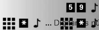 5 9 * ... Digital *s n#