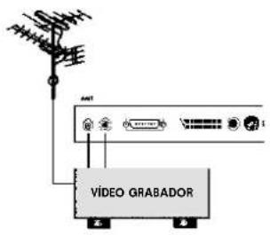 VÍDIGO GRABADOR