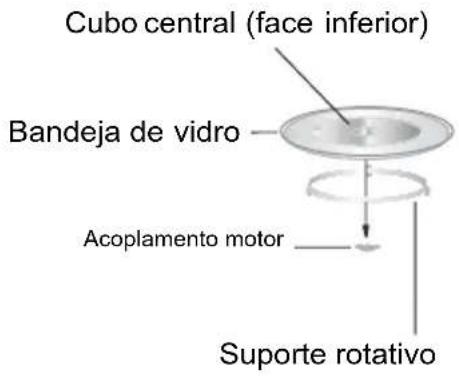 Cubo central (face inferior) Bandeja de vidro Acoplamento motor Suporte rotativo