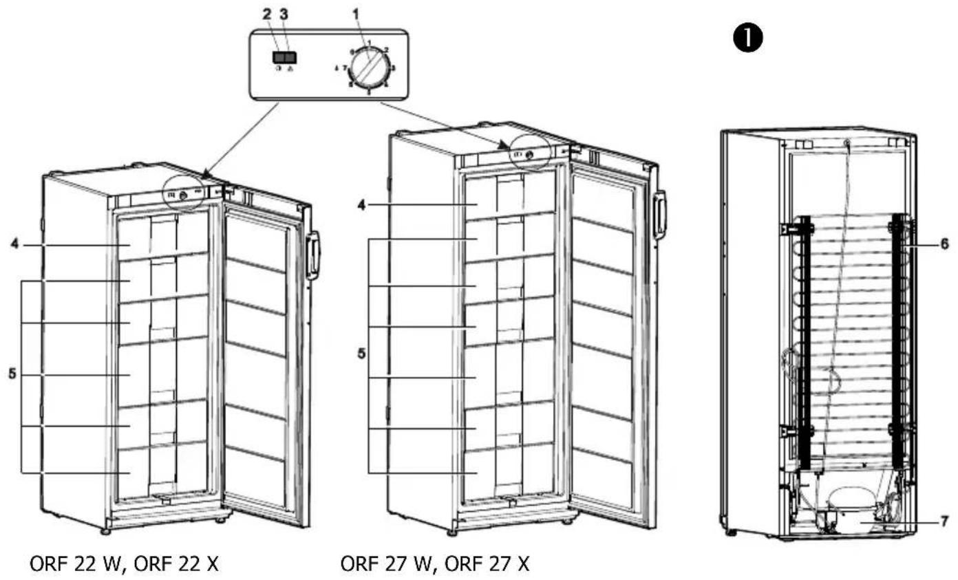 ORF 22 W, ORF 22 X ORF 27 W, ORF 27 X