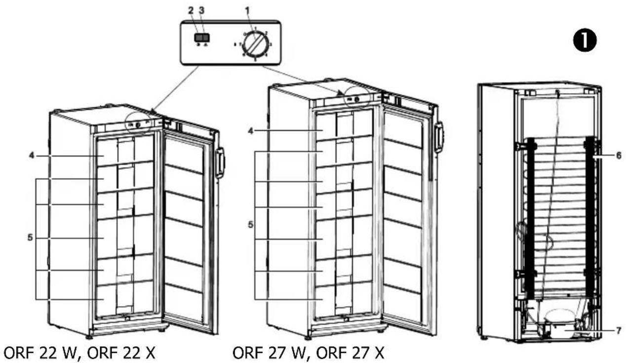 ORF 22 W, ORF 22 X ORF 27 W, ORF 27 X