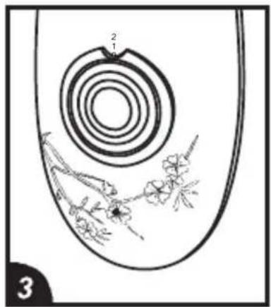 KING Lotus P 2387 - Dikkat - 8