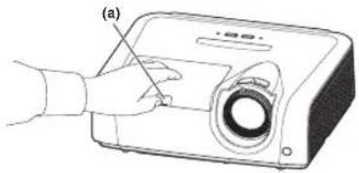 (a)