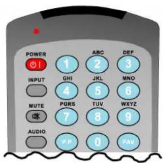 POWER 1 ABC DEF INPUT GHI JKL MNO 4 5 6 MUTE PQRS TUV WXYZ 7 8 9 AUDIO PP 0 FAV