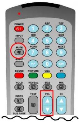 POWER 1 ABC DEF INPUT GHI JKL MNO MUTE 4 5 6 PQRS TUV WXYZ 7 8 9 AUDIO PP 0 FAV SOUND PICTURE VGA TV HOLD REVEAL SIZE MIX INDEX TEXT VOL CH SUB PAGE