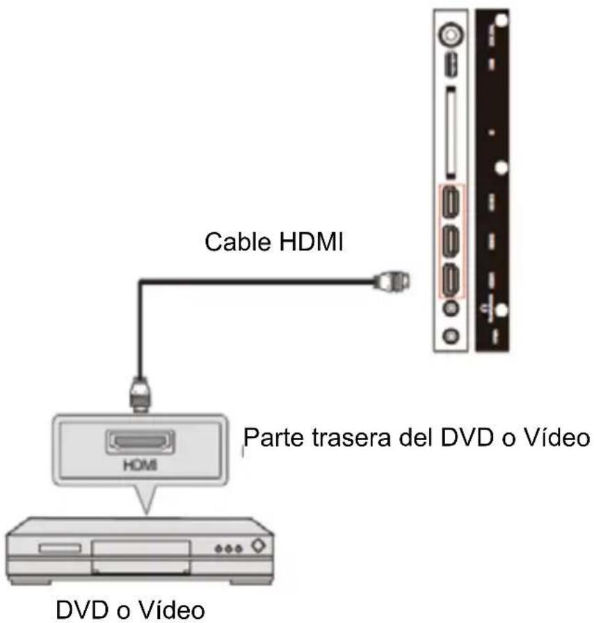 Cable HDMI Parte trasera del DVD o Vídeo HDMI DVD o Vídeo