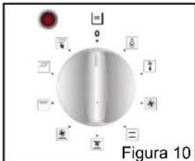 Figura 10