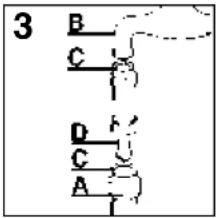 3 B C D C A