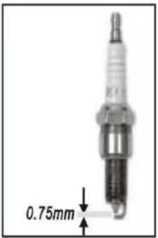 0.75mm