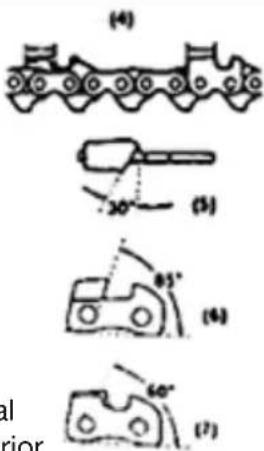 (4) 30° (5) 85° (6) 60° (7) al rior