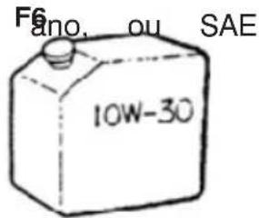 F6 ano, ou SAE 10W-30