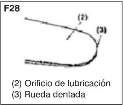 F28 (2) Orificio de lubricación (3) Rueda dentada