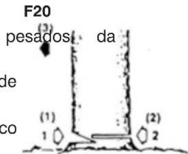 F20 pesados da de co (1) 1 (2) 2