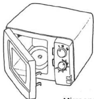 ACE 450CDL - 710.—MICROONDAS - 1