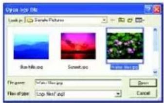 Open Help File Look in: Save Pictures File name: File size: Log file1.dq1 Save Cancel